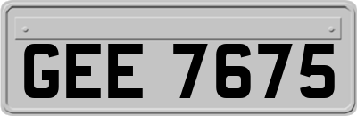 GEE7675