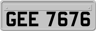 GEE7676