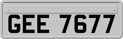 GEE7677