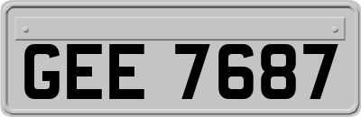 GEE7687