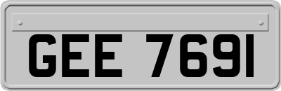 GEE7691