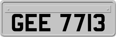 GEE7713