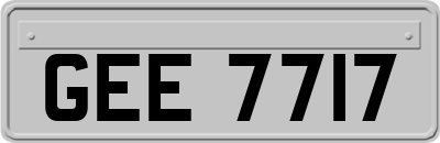 GEE7717