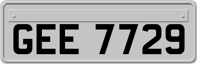 GEE7729