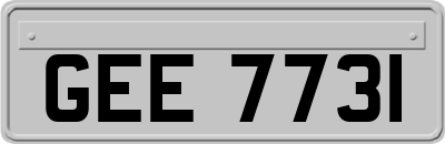 GEE7731