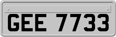 GEE7733