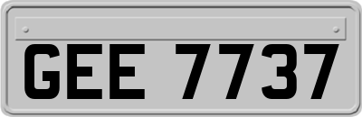 GEE7737