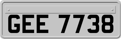 GEE7738