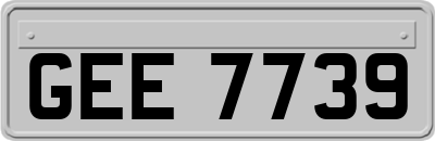 GEE7739