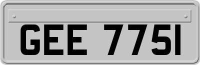 GEE7751