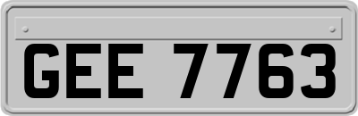 GEE7763