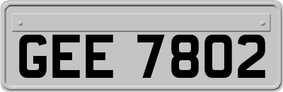 GEE7802