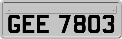 GEE7803