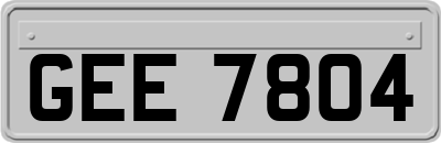 GEE7804