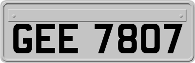 GEE7807