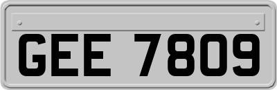 GEE7809