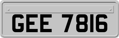 GEE7816