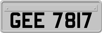 GEE7817