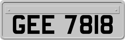 GEE7818