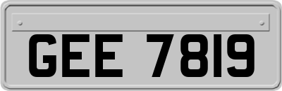 GEE7819