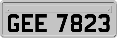 GEE7823