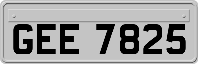 GEE7825