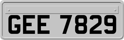 GEE7829