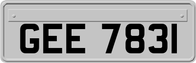 GEE7831