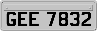 GEE7832