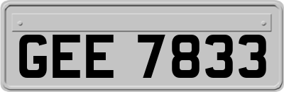 GEE7833
