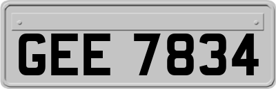 GEE7834