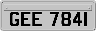 GEE7841