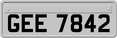 GEE7842
