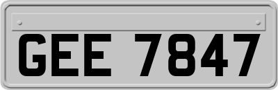 GEE7847