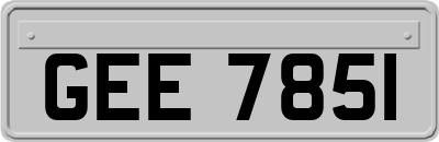 GEE7851