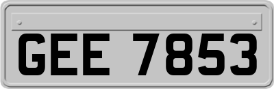 GEE7853