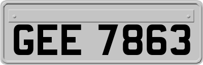 GEE7863