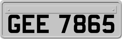GEE7865