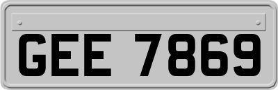 GEE7869