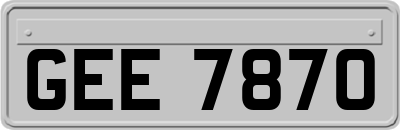 GEE7870