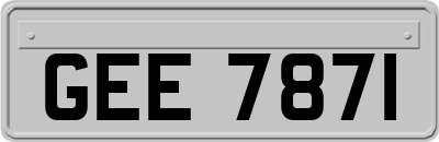 GEE7871