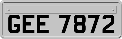 GEE7872