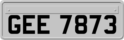 GEE7873