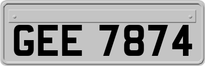 GEE7874