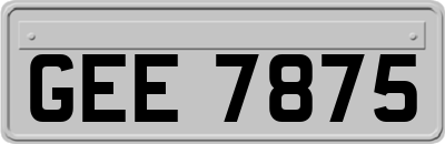 GEE7875