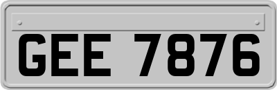 GEE7876