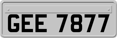 GEE7877