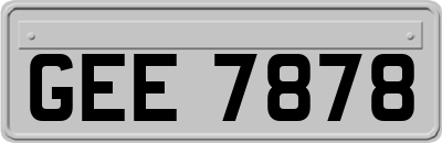GEE7878