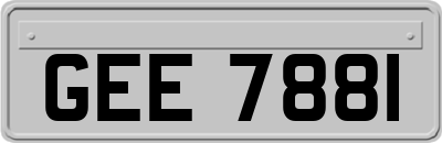 GEE7881