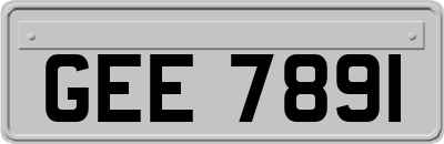 GEE7891